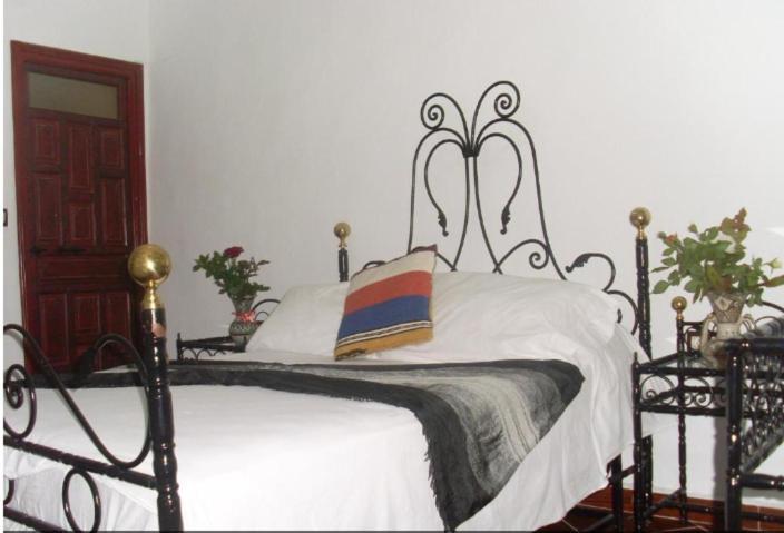 Hostel The Atlas Lion Tangeri Esterno foto